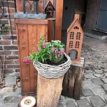 La Belle Echappee A Guest house